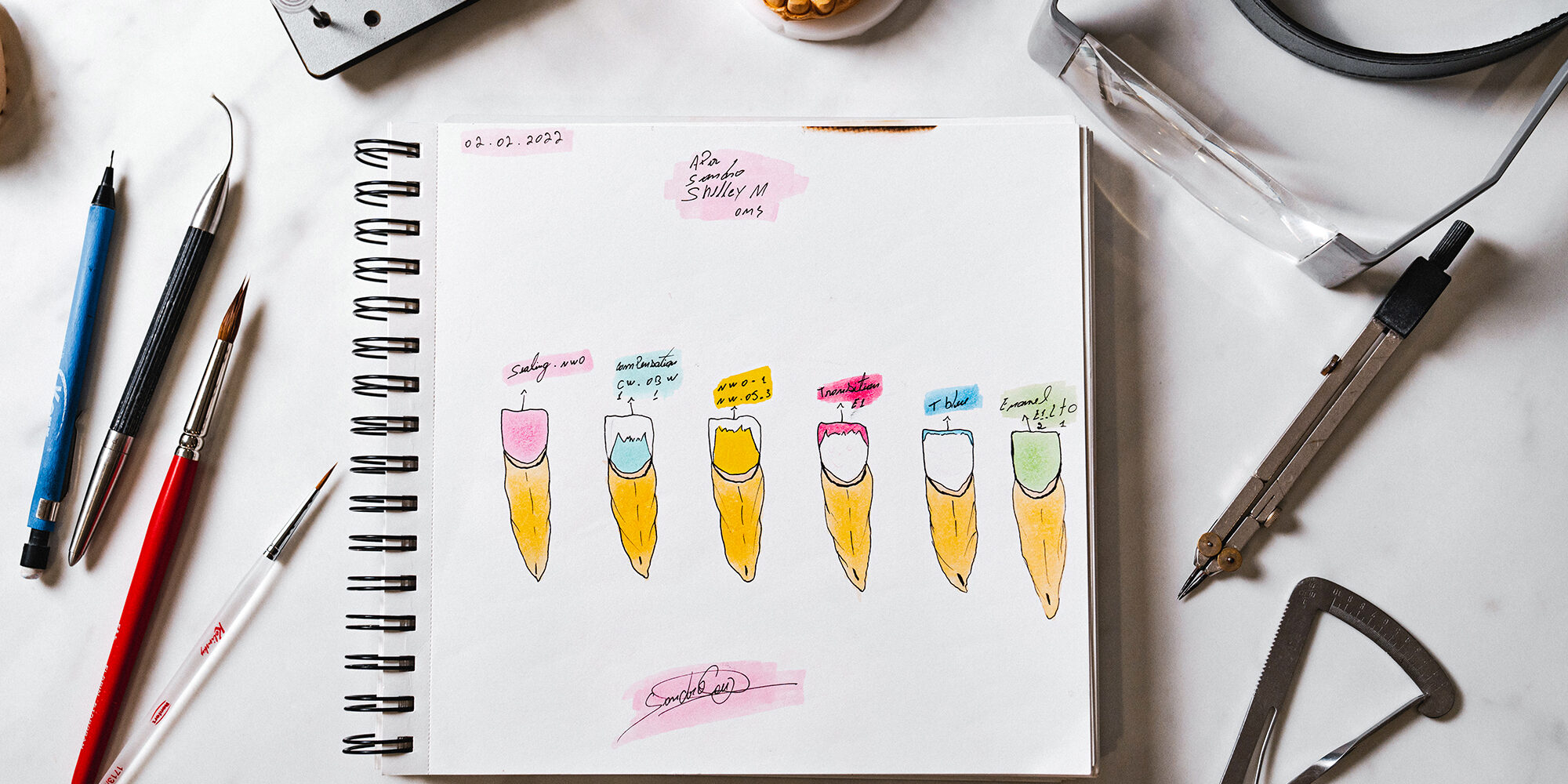 A sketchbook lies open on a desk, featuring colorful tooth illustrations. Various drawing tools, like pencils, brushes, and compasses, surround it. The teeth are labeled with step 1 to step 6 in different colors, suggesting a process.