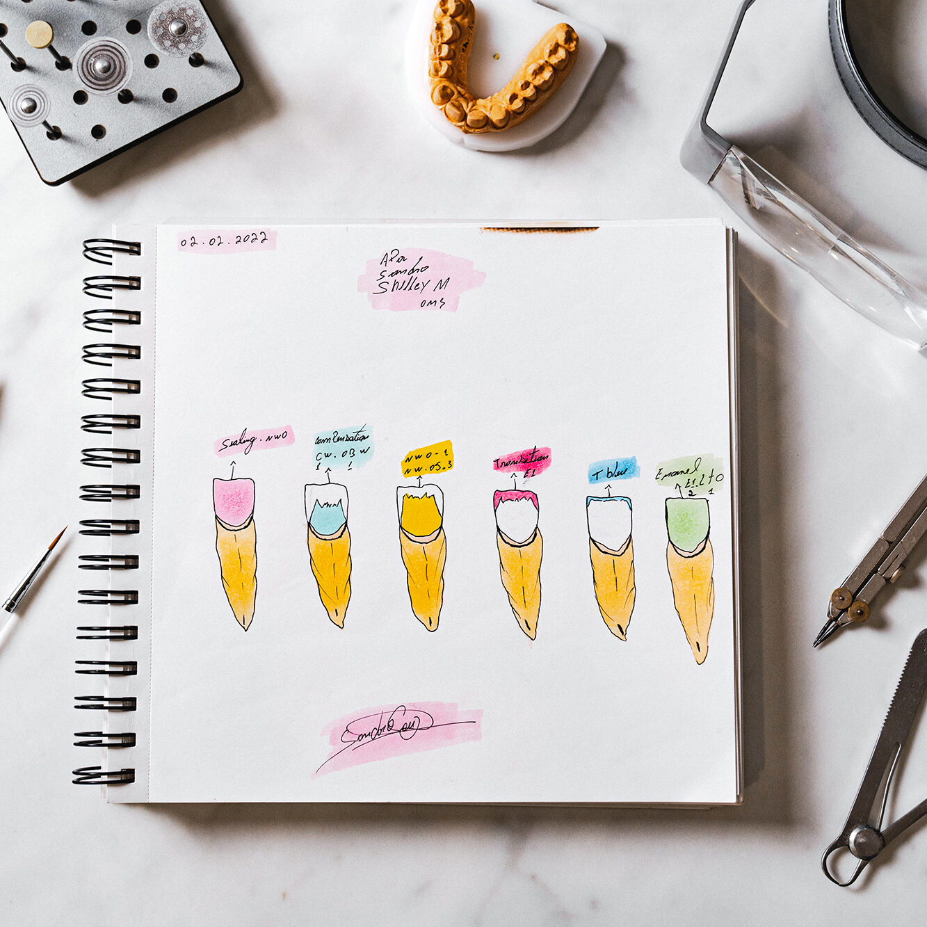 A sketchbook lies open on a desk, featuring colorful tooth illustrations. Various drawing tools, like pencils, brushes, and compasses, surround it. The teeth are labeled with step 1 to step 6 in different colors, suggesting a process.